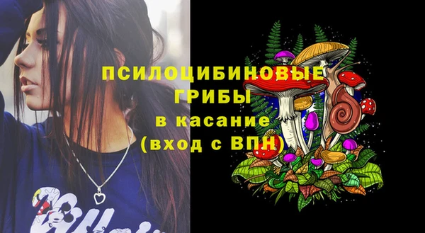 дживик Балахна